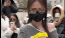 暴走吃瓜爆料免费观看全集,免费观看全集，揭秘娱乐圈幕后真相